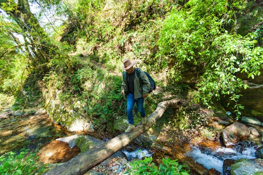 scenic hiking trails