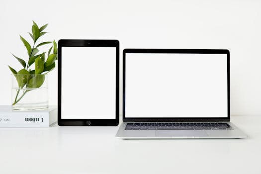 minimalist workspace with laptop and plant