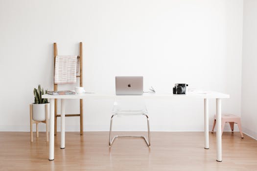 minimalist workspace with a plant