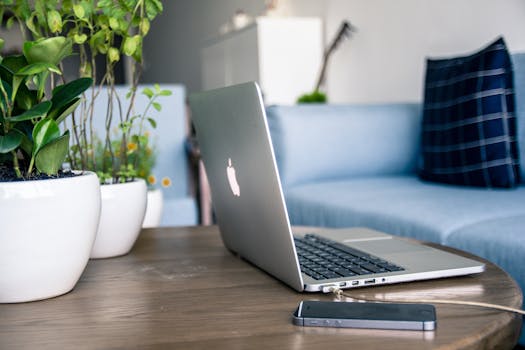 minimalist workspace with a laptop and plant